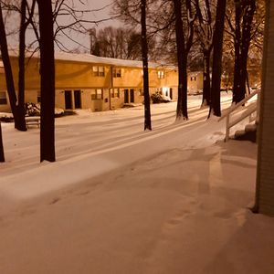 白鹿被强❌喷水羞羞漫画
