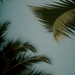 白鹿被强❌喷水羞羞漫画
