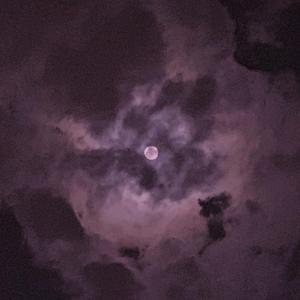 白鹿被强❌喷水羞羞漫画
